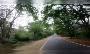 ಪ್ರಕೃತಿಯ ಸೊಬಗು.....