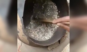 ಕಡ್ಲೆಪುರಿ ಕಡ್ಲೆಪುರಿ,.....!!!