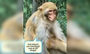 ಇನ್ನು ಒಂದು ವಾರ ....!!!