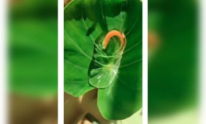 ವಾವ್ ಎಷ್ಟು ಸುಂದರ ಅಲ್ವ ...???