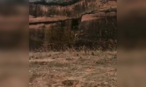 ಅಬ್ಬಾ ಮ್ಯಾಜಿಕ್ ಮಾಡೋನೆ ಇರ್ಬೇಕು ಇವ್ನು