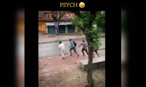 ಇಷ್ಟು ಭಯ ಇದ್ರೂ ಆಚೆ ಬರೋದು ಯಾಕೆ ...????
