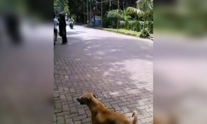 ಈ ಶೋಕಿಗಳು ಯಾಕ ಬೇಕು ಹೇಳಿ ....!!!