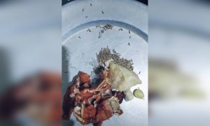 ಬಾಯಲ್ಲಿ ನೀರು ಬಂತ ....??