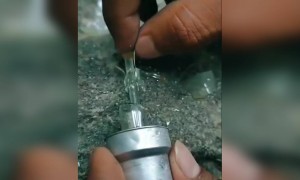 ಕ್ವಾರಂಟೈನ್ ಪ್ರಯೋಗ