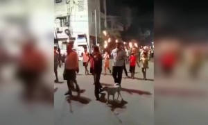 ಅಯ್ಯೋ ಜನ ಬುದ್ದಿ ಕಲಿಯಲ್ಲ ....!!!