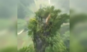 ಅಬ್ಬಾ ನಾನು ನೋಡಿದ ವಿಸ್ಮಯ