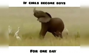 ನೋಡುದ್ರಾ ಮತ್ತೆ ,,,??