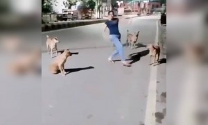 ಅಕ್ಕನ ಉದ್ದೇಶ ಏನು ಅಂತಾನೆ ಗೊತ್ತಾಗತಿಲ್ಲ .....!!!