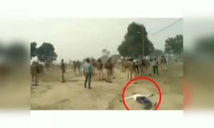 ನಟಸಾರ್ವಭೌಮ ....!!
