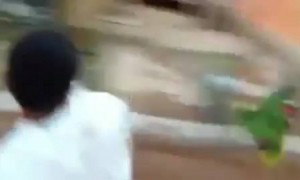 ಈ ಪಕ್ಷಿ ಪ್ರೀತಿ ತೋರಿಸ್ತಿದ್ಯೋ ಕೋಪ ತೋರಿಸ್ತಿದ್ಯೋ ದೇವರೇ ಬಲ್ಲ
