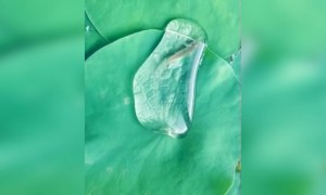 ತುಂಬ ಚಂದ ಅಲ್ವ ....???