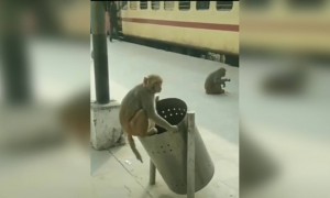 ಈ ಲಾಕ್ ಡೌನ್ ಸಮಯದಲ್ಲಿ ಹೇಗೆ ಕಾಲ ಕಳಿತಿದವೇ ನೋಡಿ