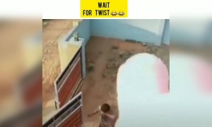 ವಿಡಿಯೋ ಕೊನೆವರೆಗೂ ನೋಡಿ