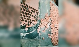 ಸಿಹಿ ಸಿಹಿ ಜಾಮೂನ್