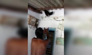 ಇತಿಹಾಸದಲ್ಲೇ ಮೊದಲ ಬಾರಿಗೆ ....!!!!