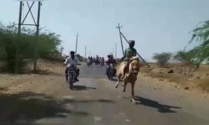 ಕುದುರೆ ಸವಾರಿ