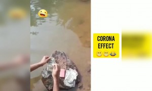 ಎಲ್ಲ ಕೋರೋನ ಎಫೆಕ್ಟ್ ಕನ್ರಪ್ಪ