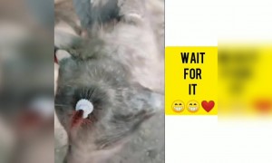 ಕೊನೆವರೆಗೂ ನೋಡಿ ಮಜಾ ಇದೆ .....!!