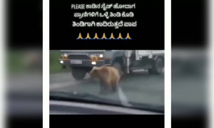 ಮನಸ್ಸಿಗೆ ಖೇದವನ್ನುಂಟು ಮಾಡುವ ದೃಶ್ಯ .....!!!