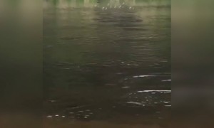 ಹೇಗಿದೆ ಈ ಟ್ಯಾಲೆಂಟ್ ...???