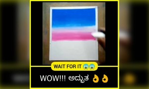 ಹೇಗಿದೆ ಈ ಆರ್ಟ್ ..??