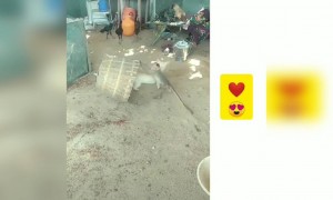 ಕ್ಯೂಟ್ ಫ್ರೆಂಡ್ಶಿಪ್ ಹೇಗಿದೆ ನೋಡಿ ....!!!