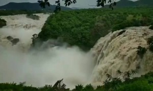 ಪ್ರಕೃತಿಯ ಸೊಬಗು ....!!