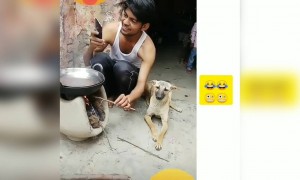 ಮೊಬೈಲ್ ಮಹಿಮೆ ....!!