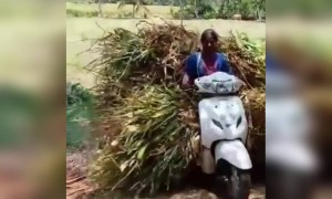 ಹೇಗೆ ನಮ್ಮ ಹಳ್ಳಿ ಹುಡುಗಿಯರು ...??