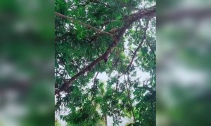 ನಿಮ್ಮ ಡುಮ್ಮ ಫ್ರೆಂಡ್ ಗೆ ಶೇರ್ ಮಾಡಿ ....!!