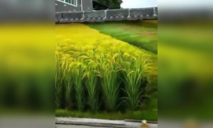 ಇದು ಪೇಯಿಂಟಿಂಗ್ ಅಂದ್ರೆ ನಂಬೋಕೆ ಅಸಾಧ್ಯ ಅಷ್ಟು ನೈಜವಾಗಿದೆ