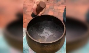 ಟಿಬೆಟ್ ನಲ್ಲಿ ಸಿಗುವ ಸಂಗೀತ ಪಾತ್ರೆ .....