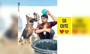ಈ ನಾಯಿ ಸ್ನಾನ ಮಾಡಿಸ್ಬೇಕು ಅಂದ್ರೆ ಆದ್ರ ಜೊತೆ ನಾವು ಸ್ನಾನ ಮಾಡ್ಬೇಕು