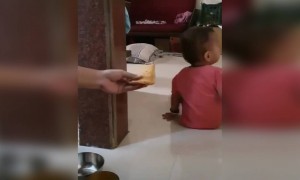 ಚಿಕ್ಕ ಮಕ್ಕಳಿಗೆ ಹೇಗೆ ಊಟ ಮಾಡಿಸ್ಬೇಕು ಗೊತ್ತಾ ...??