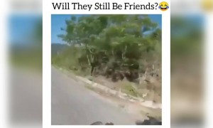 ಏನೋ ಮಾಡಲು ಹೋಗಿ ಇನ್ನೇನೋ ಆಯಿತು ....!!!!