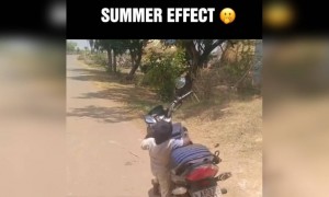 ಬೇಸಿಗೆ ಕಾಲದ ಪರಿಣಾಮ ಹೇಗಿದೆ ,,,,...??