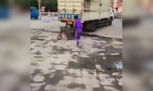 ಕೋತಿ ಸೈಕಲ್ ಹೊಡಿಸುತ್ತ ....??