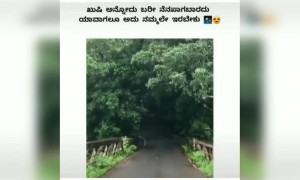 ಜಗತ್ತಿನ ಅತಿ ಸುಂದರ ಬಟ್ಟೆ ಪ್ರಕೃತಿಯ ಈ ಹಸಿರು .....