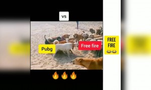 ಪಬ್ ಜಿ vs ಫ್ರೀ ಫೈರ್ ಜಗಳ