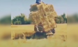 ಫನ್ನಿ ವೈರಲ್ ....!!