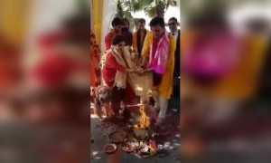 ಆ ನಾಯಿಯ ಮುಗ್ಧ ಪ್ರೀತಿಯನ್ನು ನೋಡಿ .....!!!!