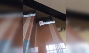 ಹೇಗಿದೆ ಈ ಕ್ರಿಯೇಟಿವಿಟಿ ......??