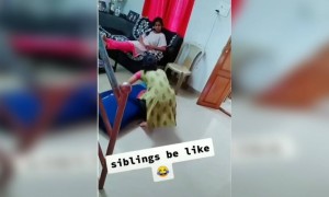ಈ ಅಕ್ಕ ತಂಗಿಯರು ಹೇಗಿದ್ದಾರೆ ನೋಡಿ ......