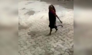 ಅಬ್ಬಾ ಈ ಅಜ್ಜಿಯ ಧೈರ್ಯ ನೋಡಿದ್ರ ....!!!