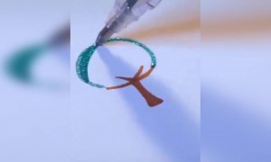 ಹೇಗಿದೆ ಕಲೆ ....???