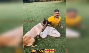 ಕ್ಯಾಪ್ಟಾನ್ ಕೂಲ್ ರ ಕ್ವಾರಂಟೈನ್ ದಿನಗಳು ......