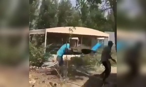 ಕರ್ಮದ ಪ್ರತಿಫಲ ....!!!