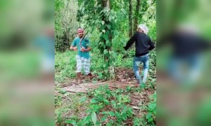 ಹೇಗಿದೆ ಈ ವಿಡಿಯೋ