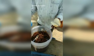 ಬನ್ ವಿಥ್ ಗುಲ್ಕನ್